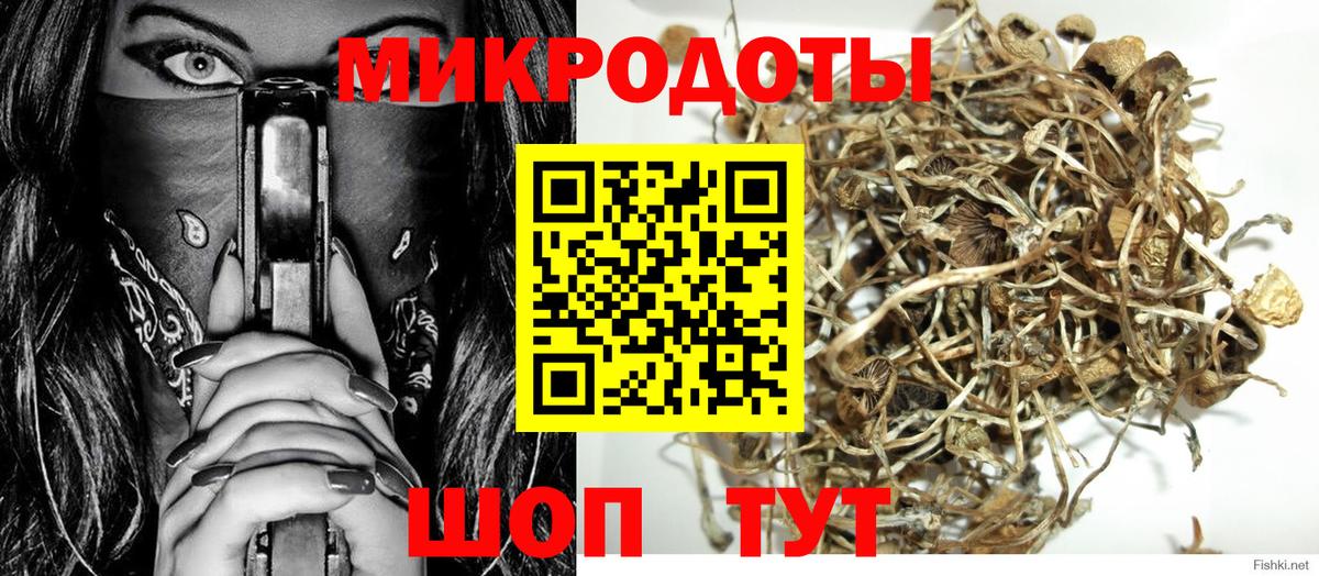 Псилоцибиновые грибы прущие грибы Чита