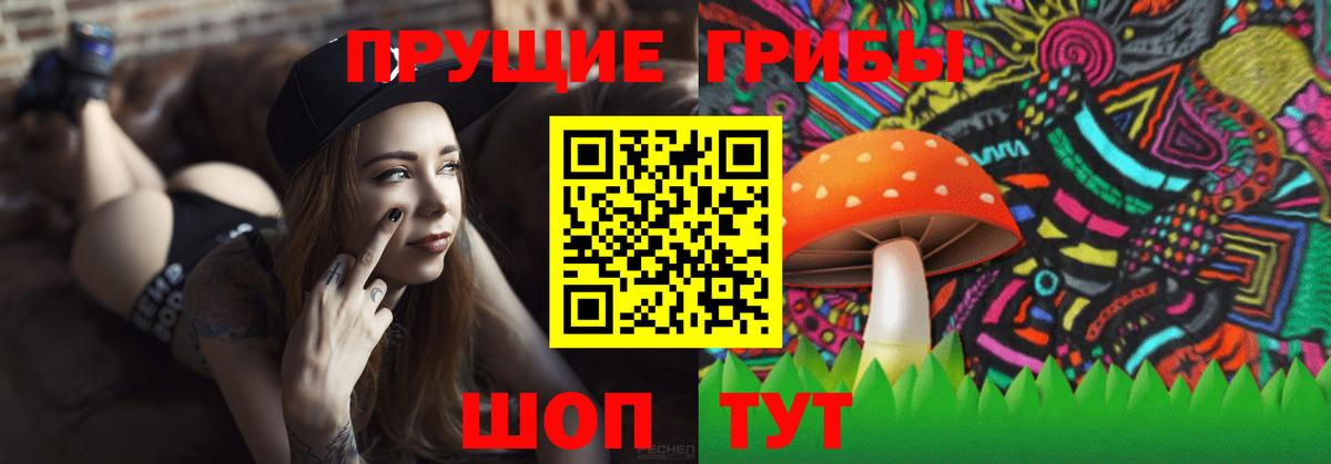 Галлюциногенные грибы Psilocybe  Вход с VPN  Чита 